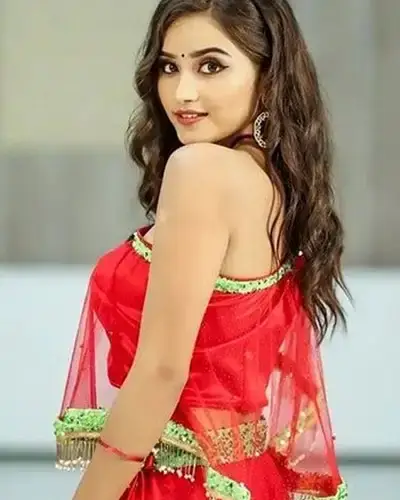 Call Girls Service Nainpur